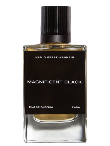 Magnificent Black Zara for men